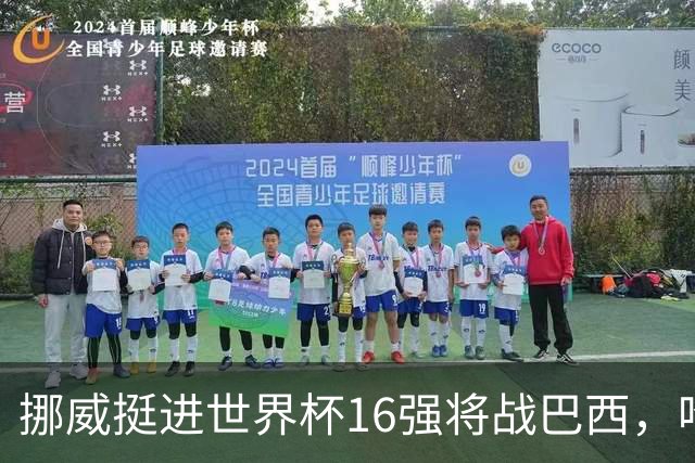挪威挺进世界杯16强将战巴西，哈兰德发声